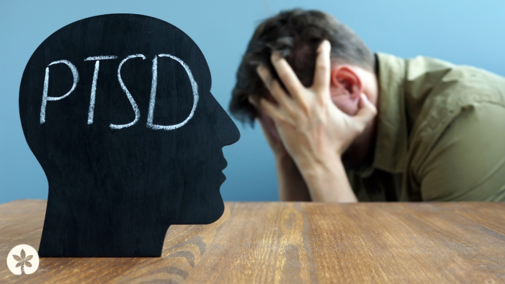 Understanding PTSD and the Importance | PTSD Counseling in McAllen