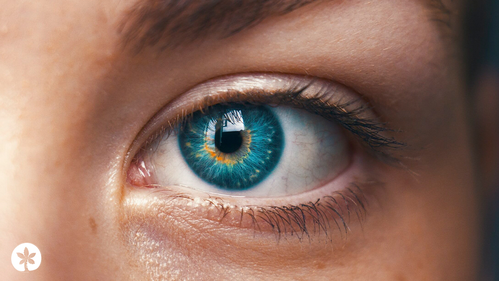 Close-up image of an eye with the Saname Counseling logo in the bottom left corner, symbolizing EMDR therapy and its potential to heal trauma and promote mental well-being.