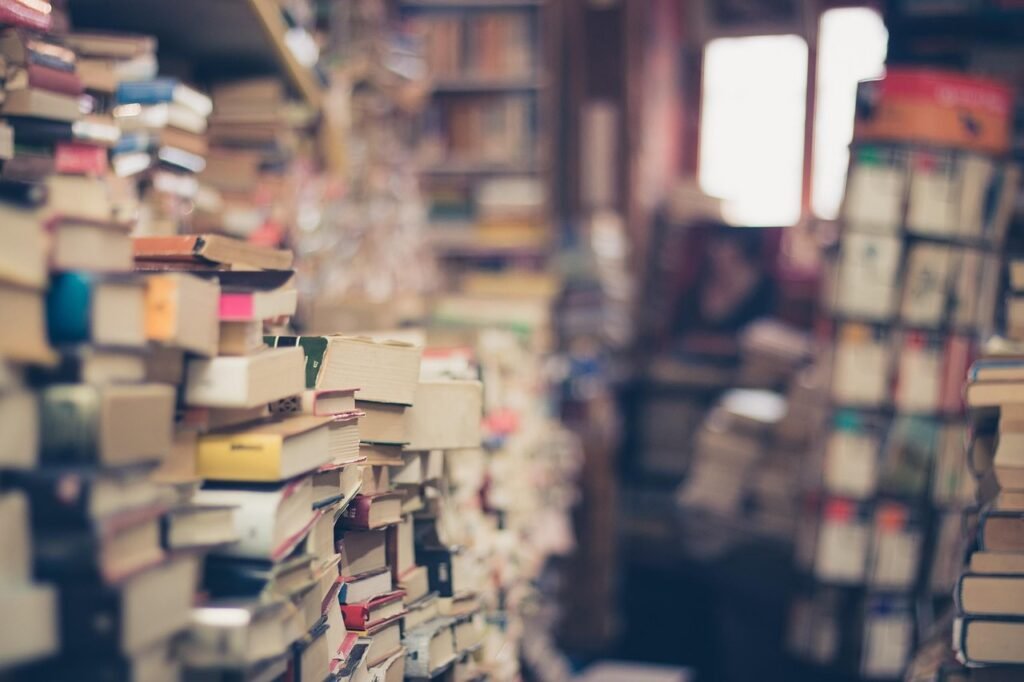 books, stack, book store, stack of books, 2nd hand, retro, hipster, shop, old, trendy, vintage, travel, venice, messy, literature, library, education, knowledge, novels, stories, books, books, books, books, books, library, education
